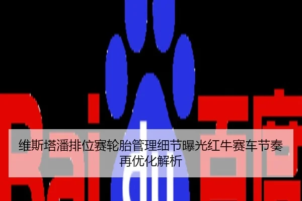 维斯塔潘排位赛轮胎管理细节曝光红牛赛车节奏再优化解析